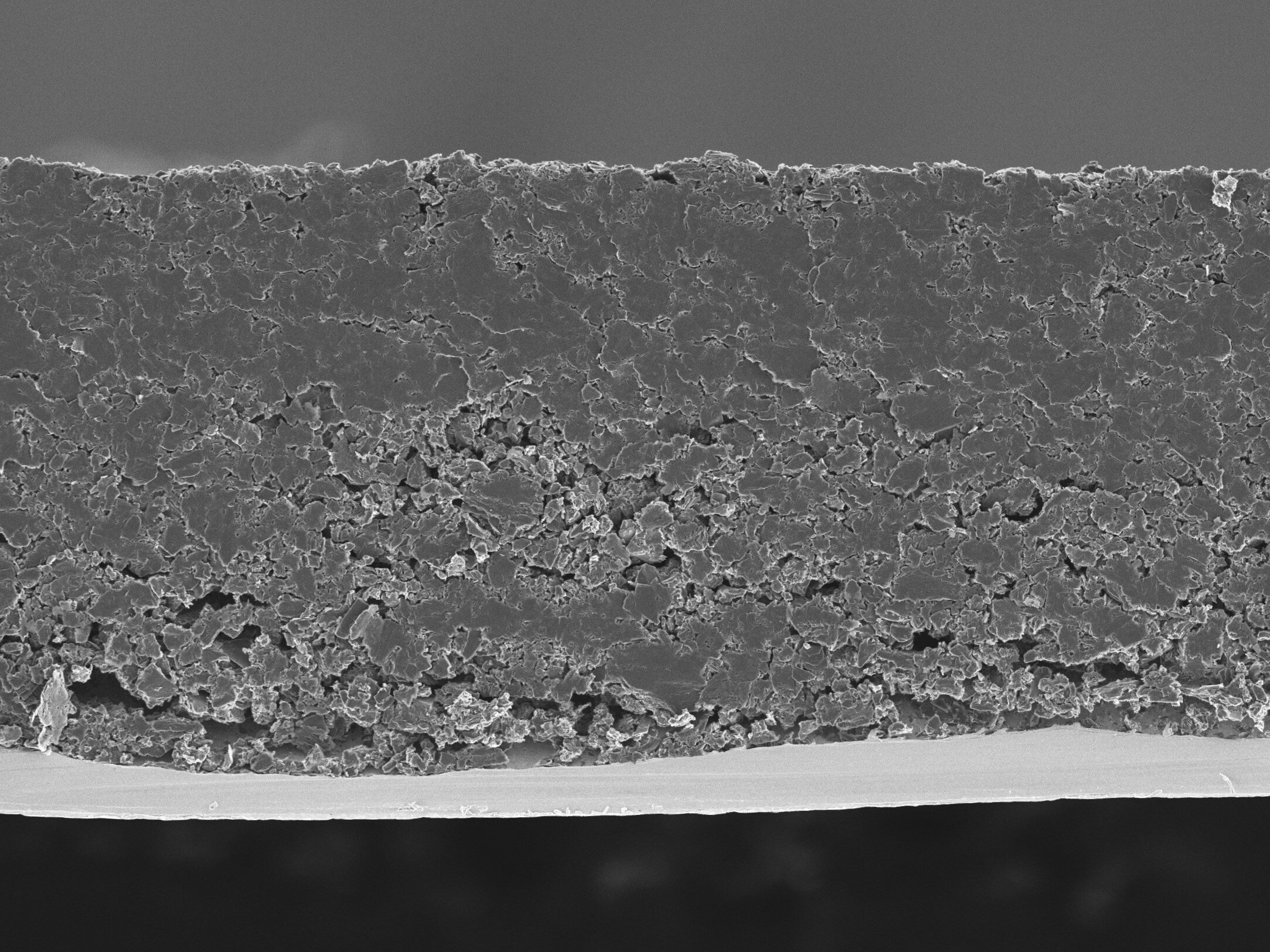 1.0 Van LI Cross Sec No Ruler ED1