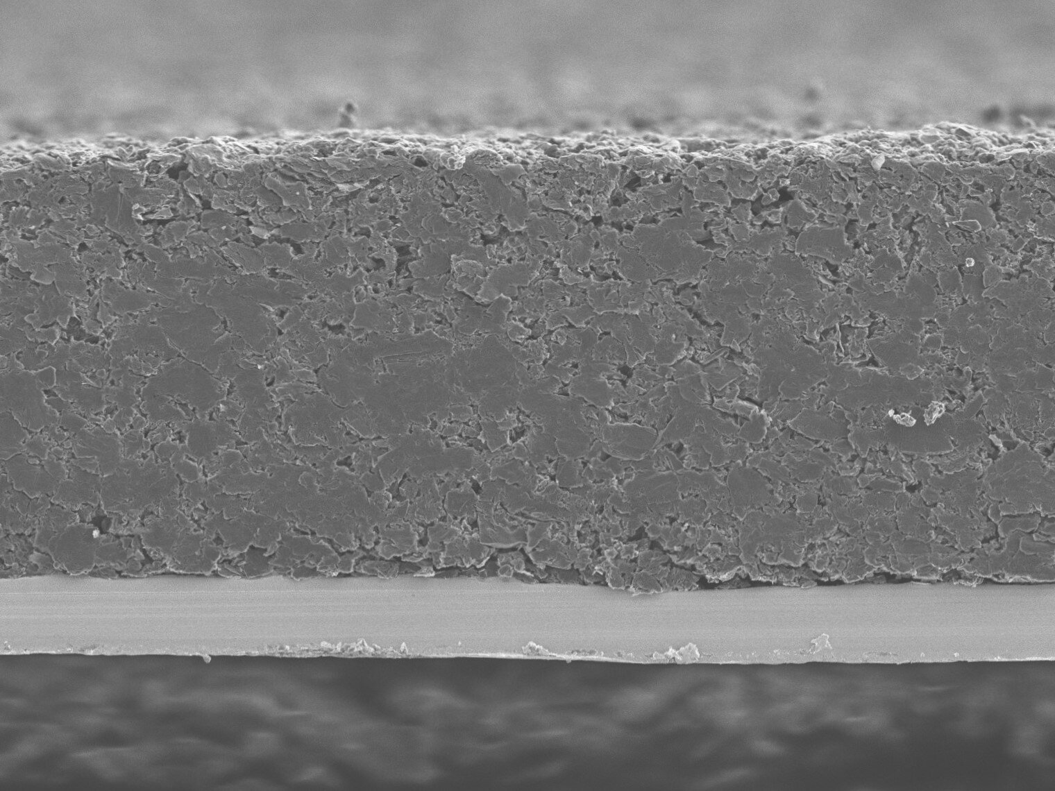 1.5 Van LI Cross Sec No Ruler ED1-1