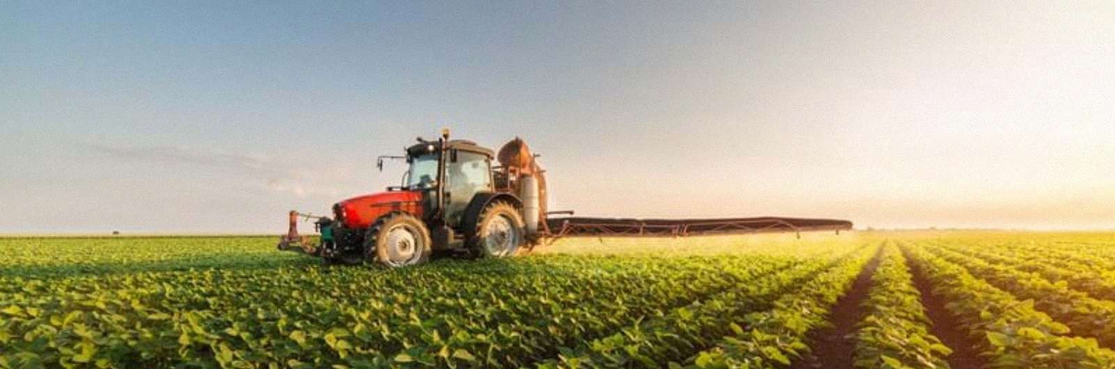 Tractor in field