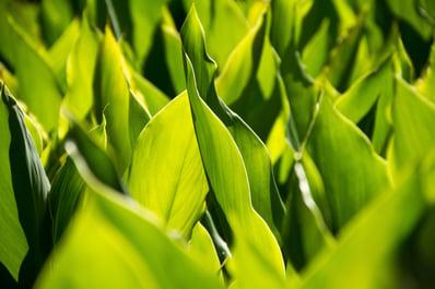 AdobeStock_248883561