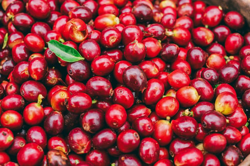 AdobeStock_330663476
