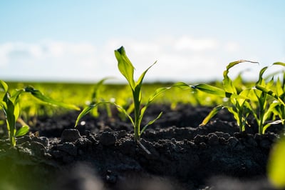 AdobeStock_487217203
