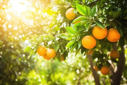 AdobeStock_615687604