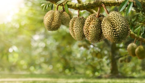 AdobeStock_862730052