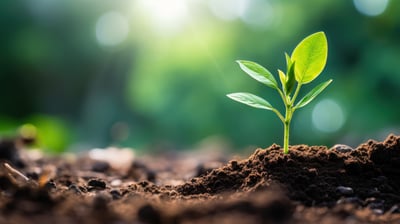 Speciality fertiliser application