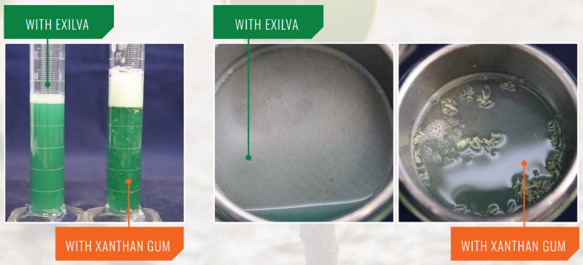 Exilva vs xantham gum