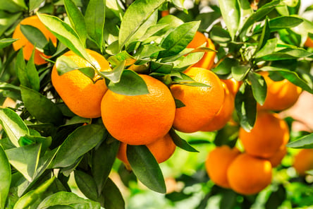 AdobeStock_310198165