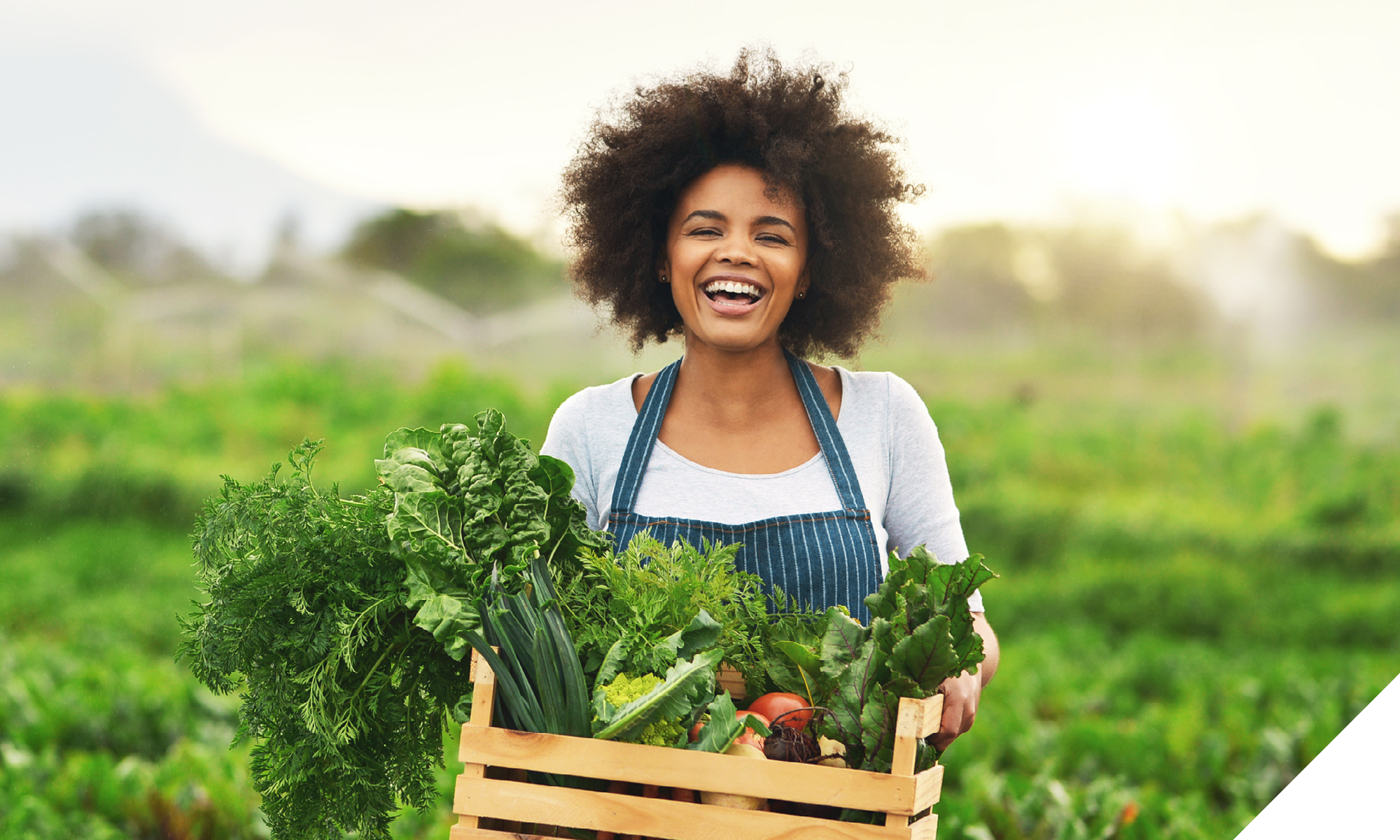 image for web5 image for web5