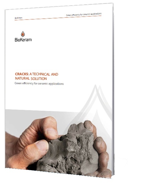 CRACKS CASE STUDY.jpg