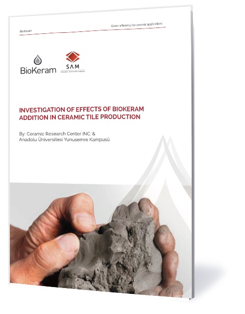 SAM Report - Front page.jpeg SAM Report - Front page.jpeg