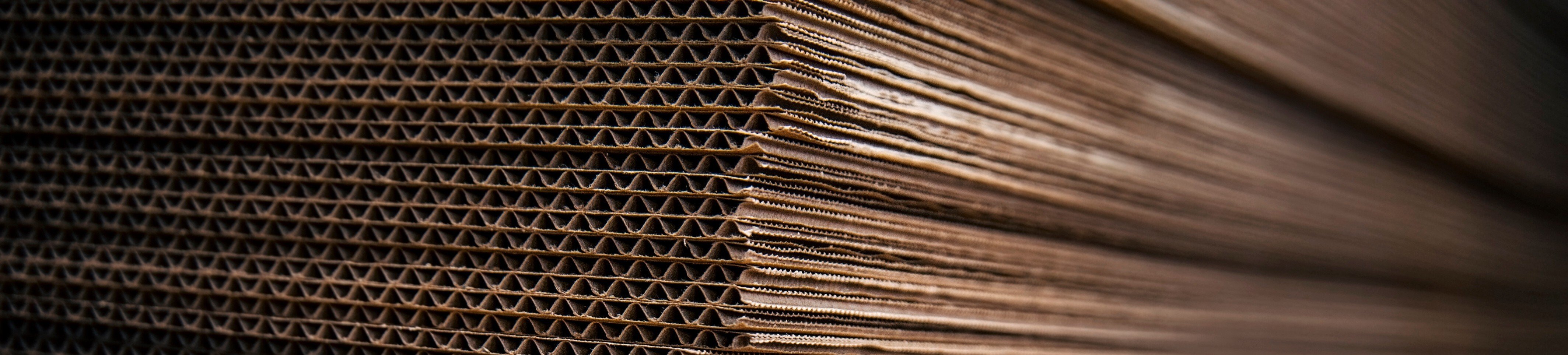 AdobeStock_240470423