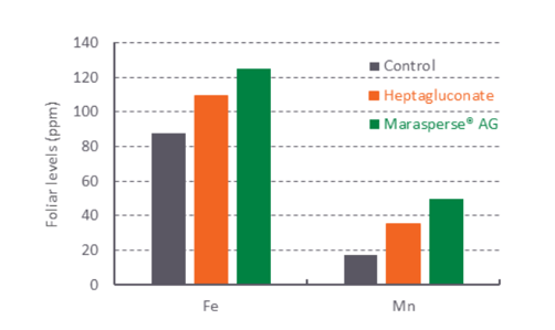 Marasperse - graphs3