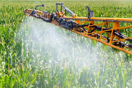 corn-field-spray