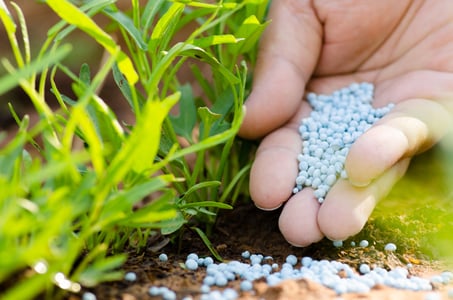 fertilizer-granules-colored