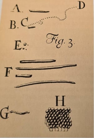 figure-a-microorganisms-in-microscope