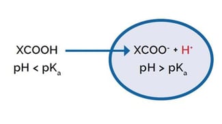 figure-undissociated-acid-diffuses
