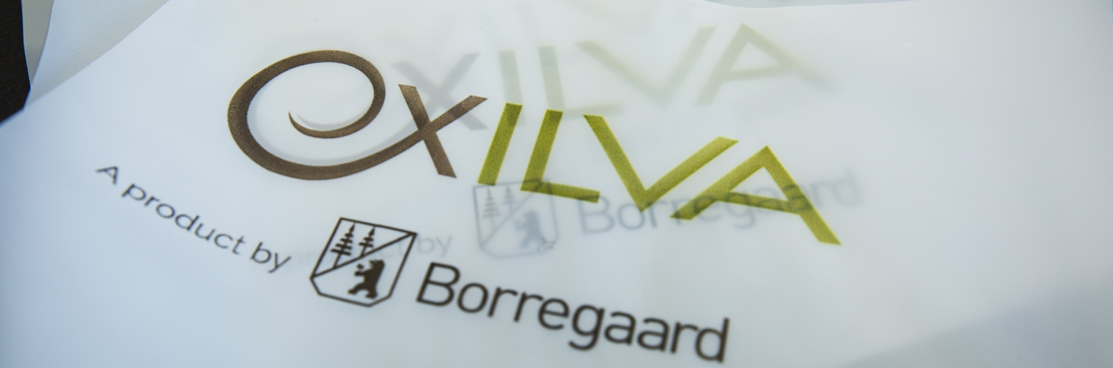 exilva film with borregaard logo