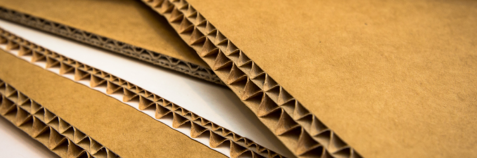 Reduced starch consumption in corrugated board adhesives with Exilva PBX