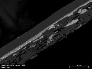 SEM paper laminated 2