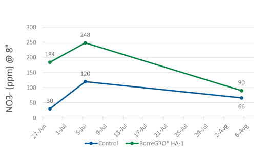 ha-1 leaching_