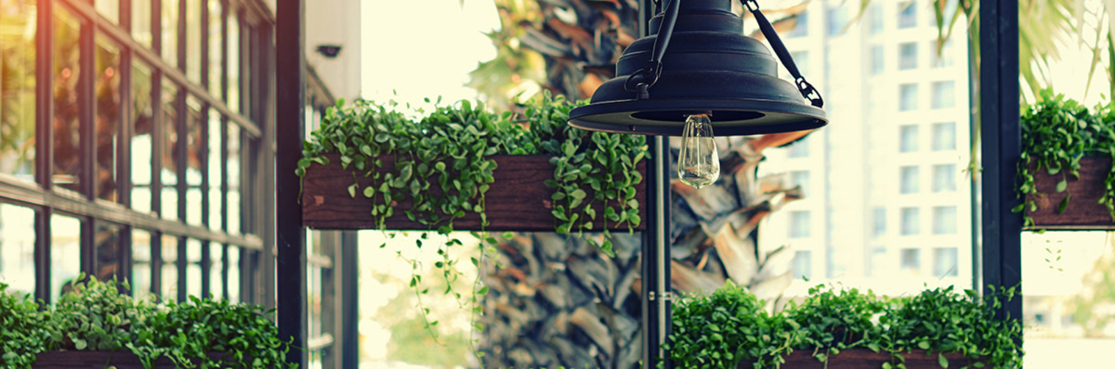 plants and lamp in a garden