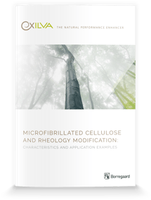 mockup-ebook-mfc-rheology