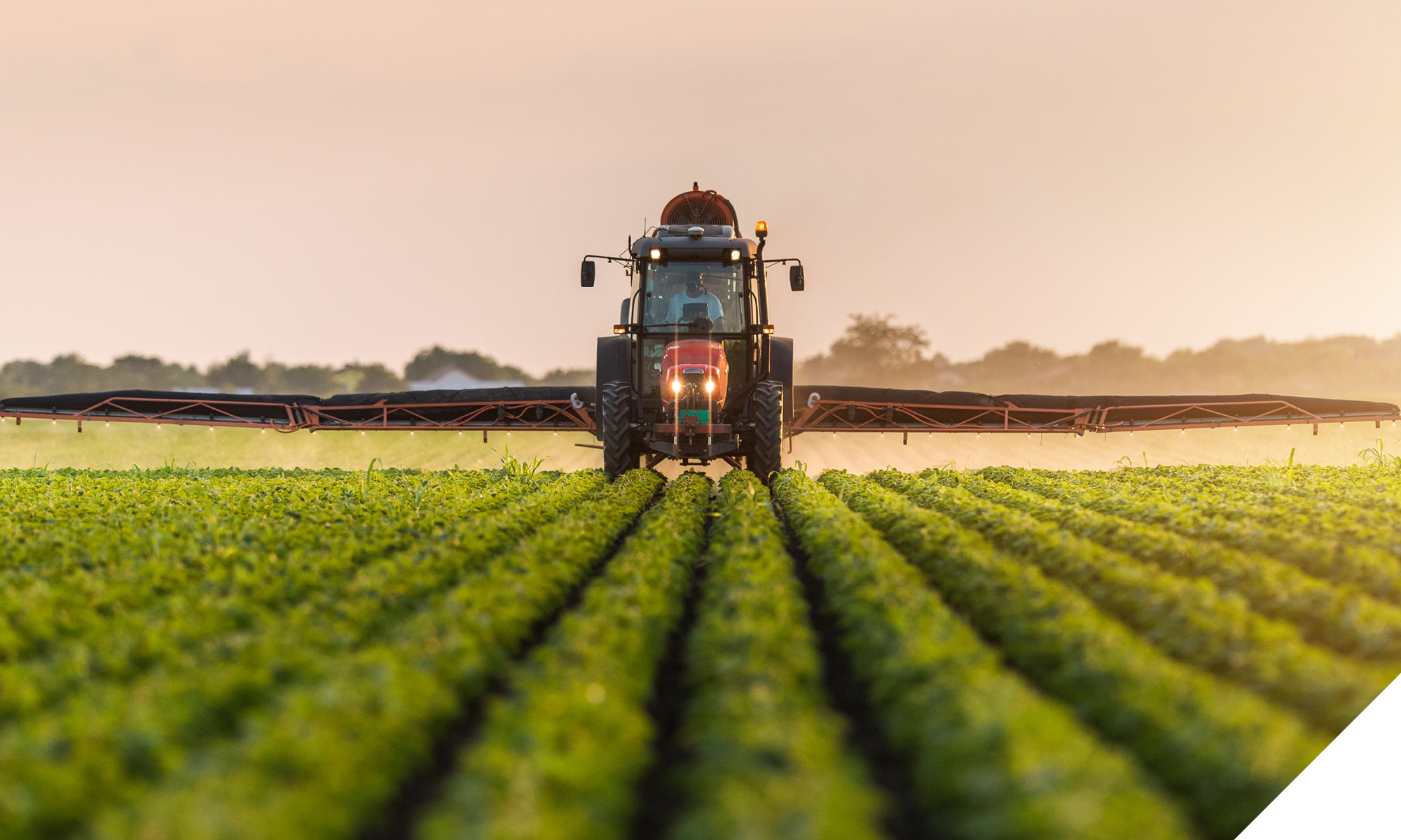 image for web7 image for web7