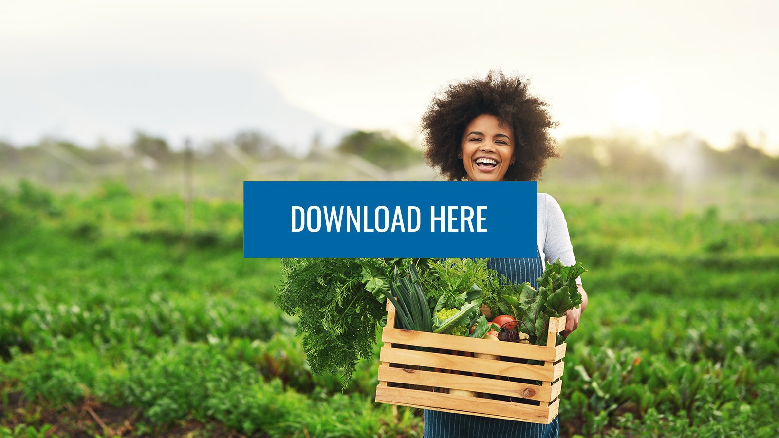 arsrapport2025 arsrapport2025