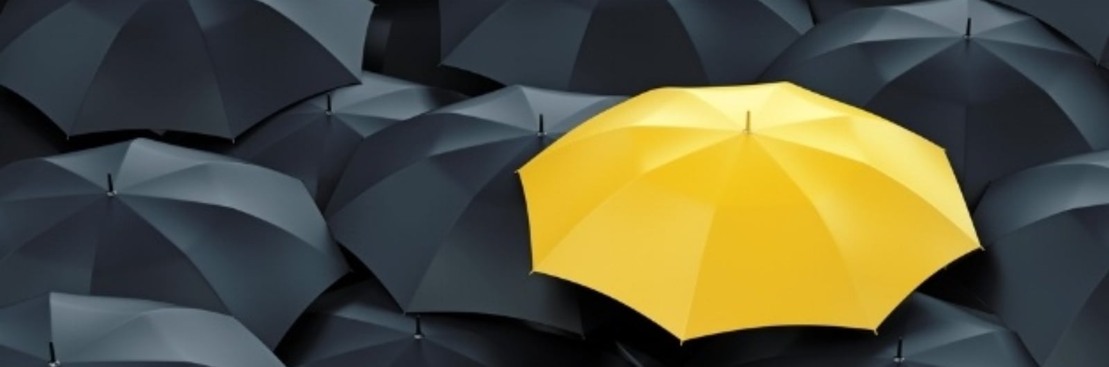 yellow umbrella among black umbrellas