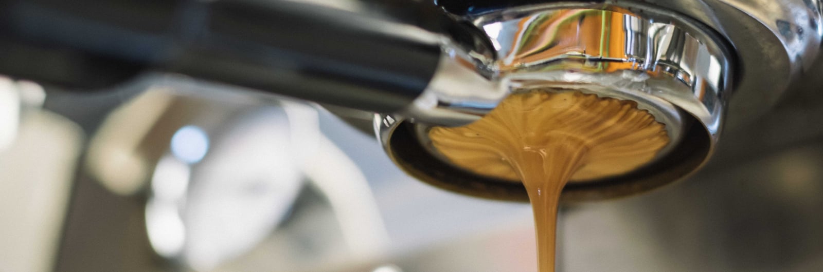 Coffee ann MFC barrier properties