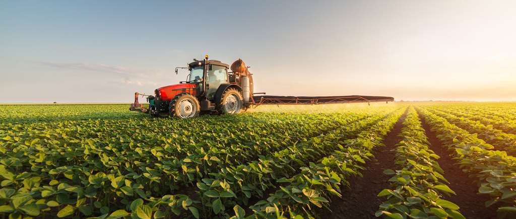 Soy Bean Crop Protection