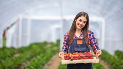 Female Greenhouse Worker With Strawberries