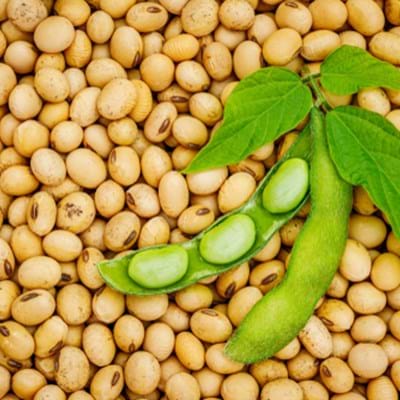 Soy Beans And Pod