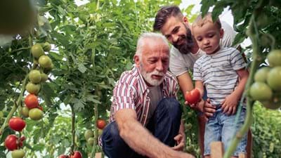Family Organic Farming